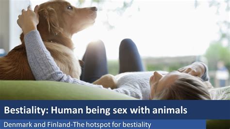 animal movie sex|Free Animal Porn Videos and Bestiality Clips